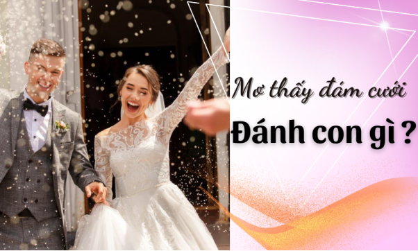 BMWBET Gợi ý số đề liên quan Mơ Thấy Đám Cưới
