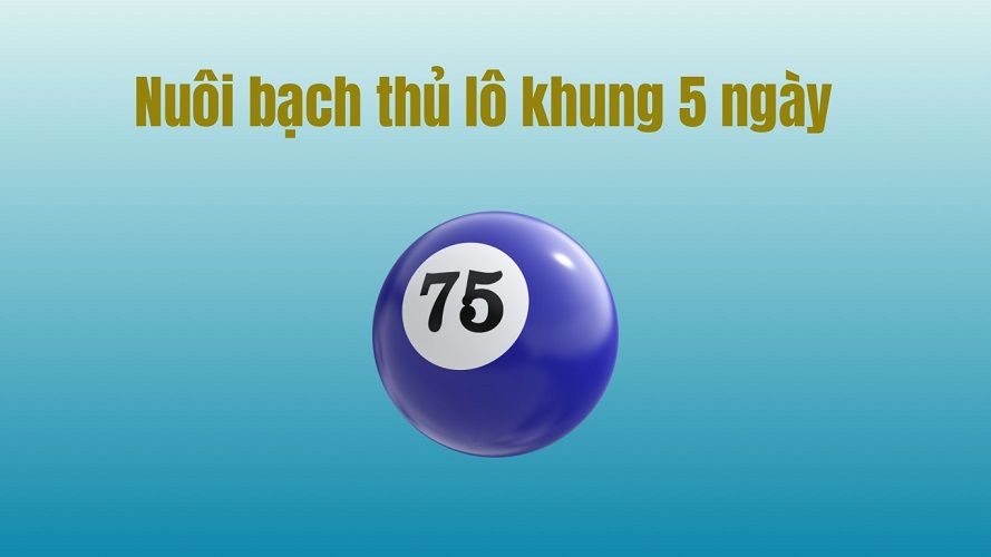 Top 3 Cách Soi Cầu Bạch Thủ Lô Nuôi Khung 5 Ngày Hiệu Quả