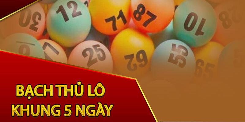 3 Lý Do Nên Chọn Nuôi Lô Bạch Thủ Khung 5 Ngày