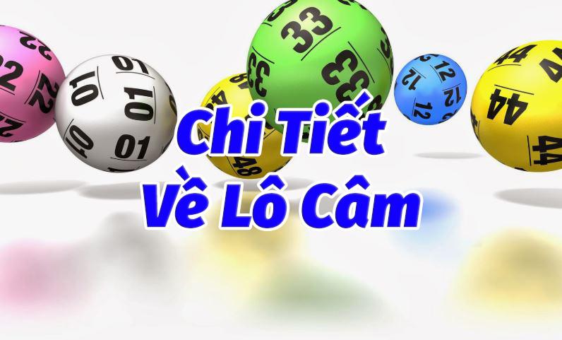 Lô Đầu Đít Câm Đánh Con Gì? Soi Cầu Lô Câm