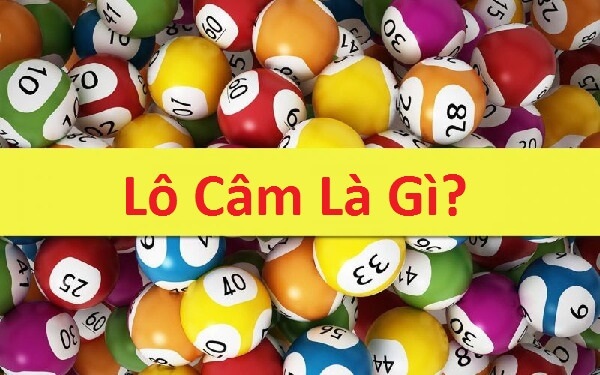 Bí Quyết Soi Cầu Lô Câm Tại BMWBET Dành Cho Tân Thủ