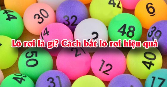 3 Cách Bắt Lô Rơi Hiệu Quả Dễ Áp Dụng